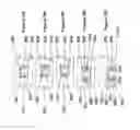 Fig. 11 - Flexible plate fixation of bone fractures