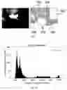Fig. 06 - System, device and method for observing piglet birth
