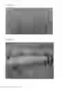 Fig. 35 - CELL SCAFFOLD CONSTRUCTS