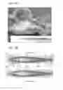 Fig. 65 - CELL SCAFFOLD CONSTRUCTS
