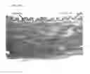 Fig. 67 - CELL SCAFFOLD CONSTRUCTS