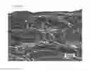 Fig. 69 - CELL SCAFFOLD CONSTRUCTS