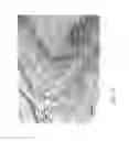 Fig. 72 - CELL SCAFFOLD CONSTRUCTS