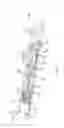 Fig. 04 - Preventing tissue ingrowth into constricting cords after implantation