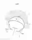 Fig. 09 - Hip joint device