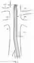 Fig. 09 - Fenestrated endoluminal prosthesis and system and method of deployment thereof