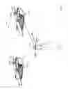 Fig. 09 - Methods and apparatus for body weight support system