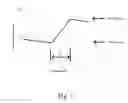 Fig. 02 - AQUEOUS SOLUTION OF POLYMERS