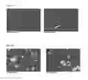 Fig. 02 - FORMULATIONS, SALTS AND POLYMORPHS OF TRANSNORSERTRALINE AND USES THEREOF