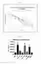 Fig. 07 - COMPOSITIONS AND METHODS FOR TREATING ASTHMA AND OTHER LUNG DISEASES