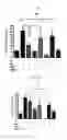 Fig. 09 - COMPOSITIONS AND METHODS FOR TREATING ASTHMA AND OTHER LUNG DISEASES