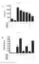 Fig. 10 - COMPOSITIONS AND METHODS FOR TREATING ASTHMA AND OTHER LUNG DISEASES