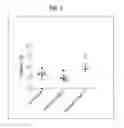 Fig. 08 - Method of activating regulatory T cells with alpha-2B adrenergic receptor agonists