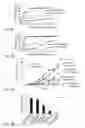 Fig. 03 - MODULATORS OF CELL DEATH PROCESSES