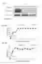 Fig. 06 - MODULATORS OF CELL DEATH PROCESSES
