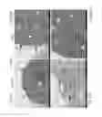 Fig. 22 - MODULATORS OF CELL DEATH PROCESSES