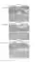 Fig. 30 - MODULATORS OF CELL DEATH PROCESSES