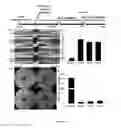 Fig. 20 - Systems pharmacology for treating ocular disorders