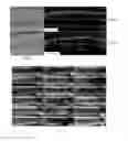 Fig. 41 - Systems pharmacology for treating ocular disorders