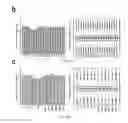 Fig. 47 - Systems pharmacology for treating ocular disorders