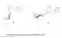 Fig. 01 - Composition containing stilbene glycoside and preparation and uses thereof for treating diabetes
