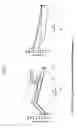 Fig. 08 - Composition containing stilbene glycoside and preparation and uses thereof for treating diabetes