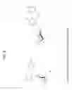 Fig. 09 - Composition containing stilbene glycoside and preparation and uses thereof for treating diabetes