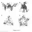 Fig. 02 - Immunogenic polypeptides