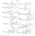 Fig. 02 - ENZYMATIC CONJUGATION OF POLYPEPTIDES