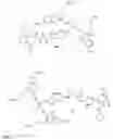 Fig. 02 - Cholecystokinin 2 receptor targeted NIR imaging and use thereof