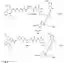 Fig. 07 - Cholecystokinin 2 receptor targeted NIR imaging and use thereof