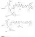 Fig. 08 - Cholecystokinin 2 receptor targeted NIR imaging and use thereof