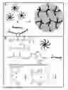 Fig. 01 - Photoluminescent hydrogel