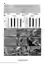 Fig. 06 - Photoluminescent hydrogel