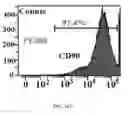 Fig. 43 - Bone graft with a tannin-hydroxyapatite scaffold and stem cells for bone engineering