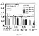 Fig. 86 - Bone graft with a tannin-hydroxyapatite scaffold and stem cells for bone engineering
