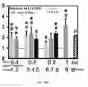 Fig. 89 - Bone graft with a tannin-hydroxyapatite scaffold and stem cells for bone engineering