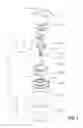 Fig. 02 - Insulin pump dermal infusion set having partially integrated mechanized cannula insertion with disposable activation portion