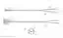 Fig. 01 - BALLOON-TIPPED CATHETER FOR CONTINUOUS NERVE BLOCKS