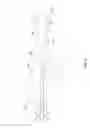 Fig. 06 - Catheter hubs
