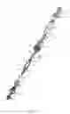 Fig. 04 - Multi-direction steerable handles for steering catheters