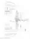 Fig. 02 - Electrical acupuncture eye treatment