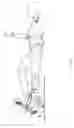 Fig. 02 - Adjustable Supine Cycling Machine
