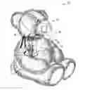 Fig. 01 - Wirelessly communicative cuddly toy