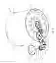 Fig. 07 - Spin art apparatus