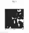Fig. 04 - EXHAUST GAS PURIFICATION CATALYST