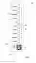 Fig. 07 - Diagnostic assay strip cassette
