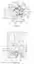 Fig. 07 - Cutting tool having an indexable cutting insert retained by a moment force about a pivot axis
