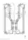 Fig. 02 - Clip-type stretching apparatus
