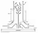 Fig. 01 - SYSTEM AND METHOD FOR TUNABLE PATTERNING AND ASSEMBLY OF PARTICLES VIA ACOUSTOPHORESIS